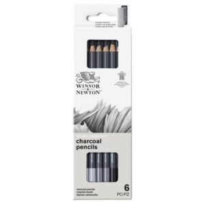 Set 6 Matite Carboncino Winsor & Newton Astuccio con Matite - 5