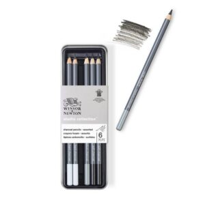 Set 6 Matite Carboncino Winsor & Newton Astuccio con Matite - 2