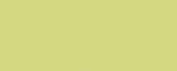 Variante colore Verde Chiaro Giallastro Pastello 664