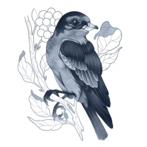 Set Copic Ciao Dark Cool Gray – 3 Colori - 3