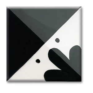 Variante colore Nero 669