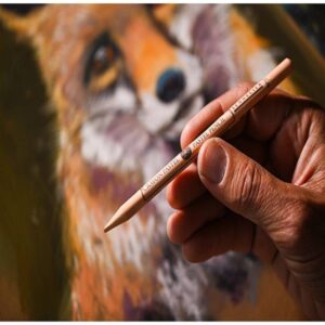 Foto_Di_Scatola_12_Pastelli_a_Matita_Assortiti_Sennelier_4