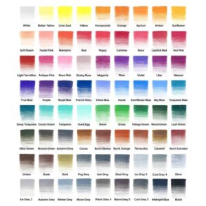 Studio Collection, Box Set di 50 Pz – Winsor & Newton - 3