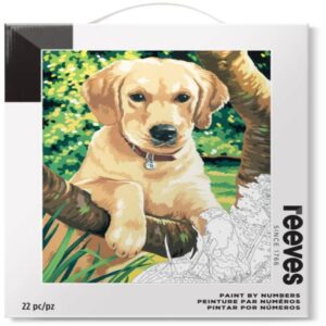 Foto_Di_Confezione_Colori_Acrilici_Guidata_“Labrador_Dog”_Reeves_A