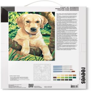 Foto_Di_Confezione_Colori_Acrilici_Guidata_“Labrador_Dog”_Reeves_C