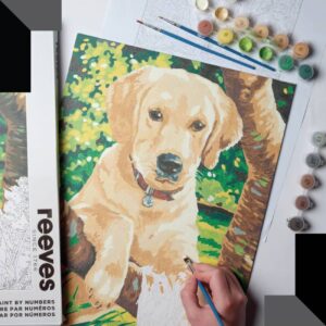 Foto_Di_Confezione_Colori_Acrilici_Guidata_“Labrador_Dog”_Reeves_B