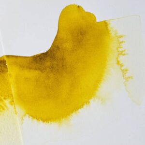 Fiele Di Bue 75 Ml – Winsor & Newton - 1