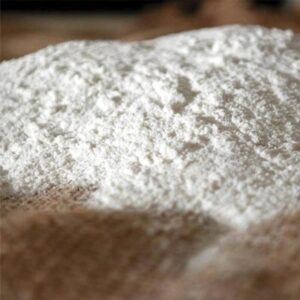 Foto-di-gesso-di-bologna-cwr