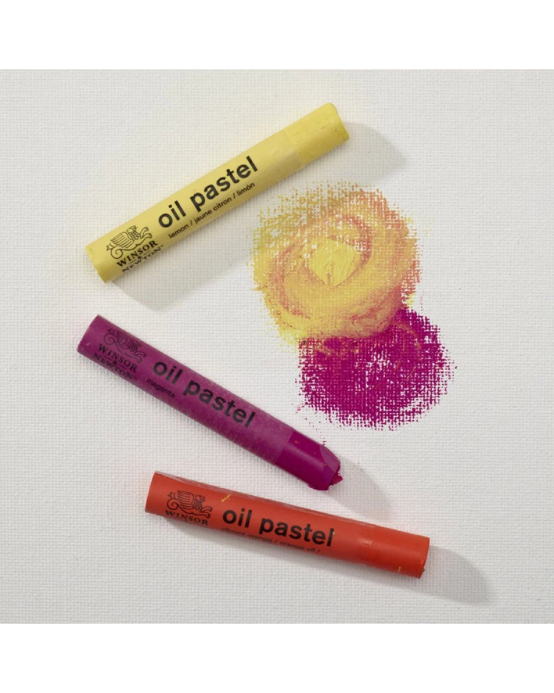 foto-di-set-pastelli-a-olio-winsor-newton-15-o-30-colori-4
