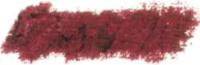 Variante colore Bordeaux - 008