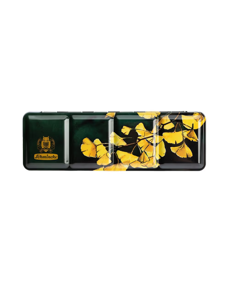 foto-di-set-acquerelli-professionali-schmincke-horadam-ginkgo-20-colori-4